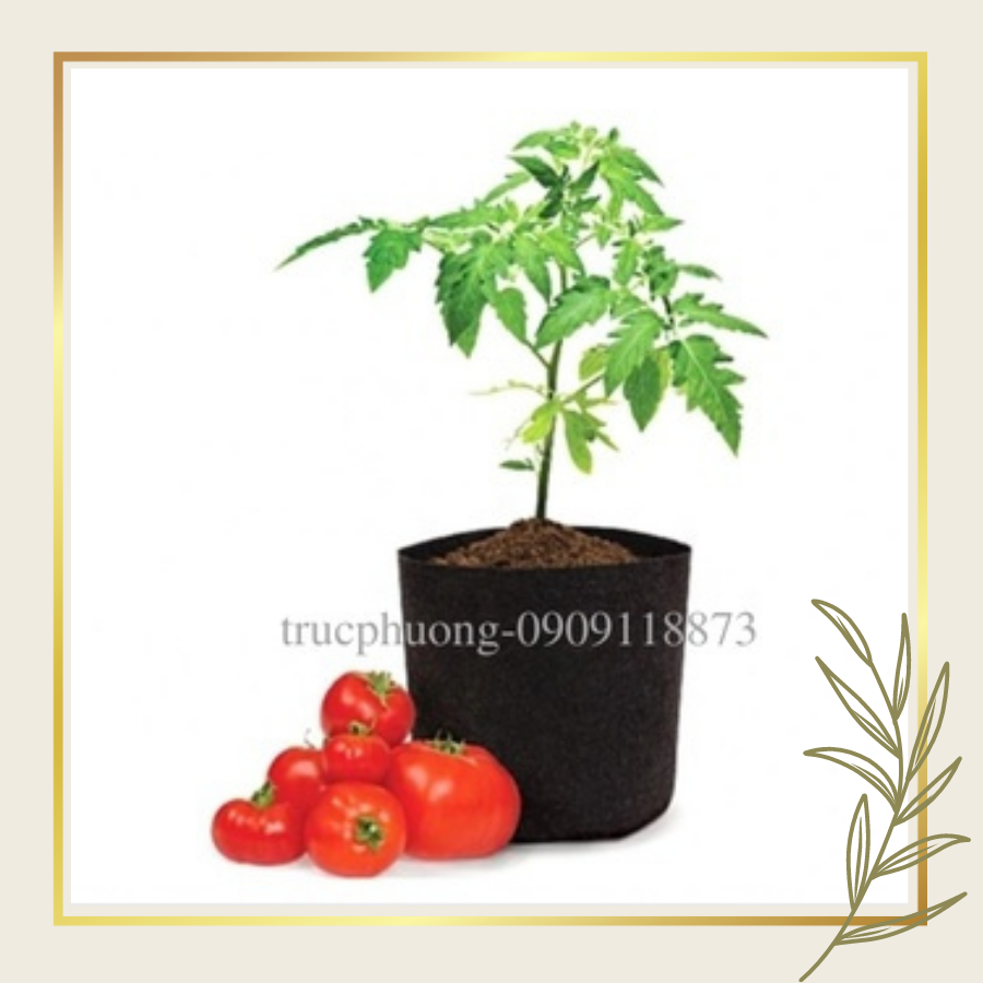 Túi vải trồng cây trồng hoa, trồng rau củ quả, chậu vải siêu bền có quai cầm màu đen nhiều kích thước