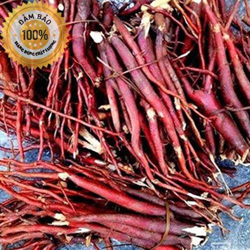 1kg sâm cau đỏ - loại rừng tây bắc - sâm cau tươi