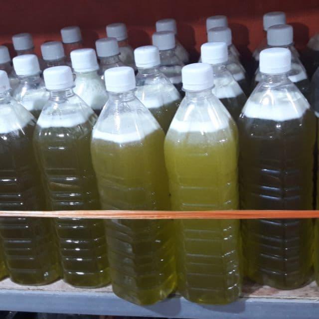 Mật Ong Bạc Hà Sản Phẩm Từ Cao Nguyên Đá Hà Giang - Tiêu Chuẩn Xuất Khẩu 500ml