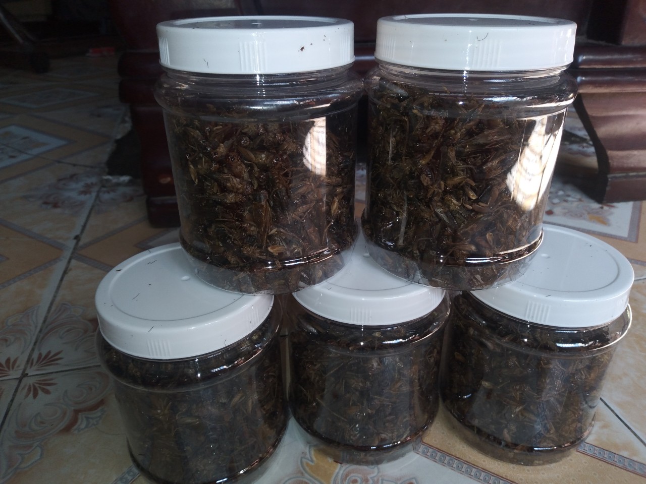 DẾ SẤY KHÔ Dùng làm thức ăn cho cá cảnh,nhím kiểng, chuột hamster, chim, gà, sóc, bò sát, mèo..