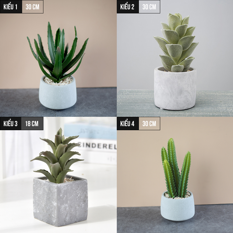 Cây xương rồng trang trí, cây giả decor mini để bàn trang trí nhà cửa - Jassi Decor
