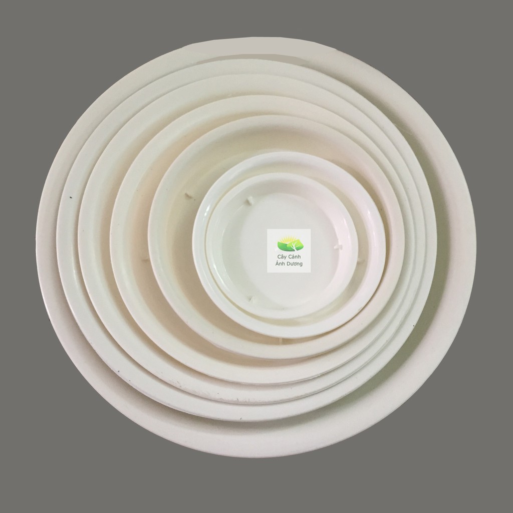 Đĩa lót chậu tròn màu trắng
