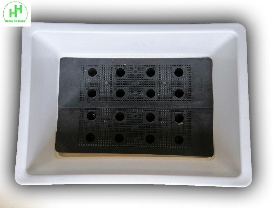 5 KHAY NHỰA TRỒNG RAU KÍCH THƯỚC 47X33X16CM - MÀU TRẮNG