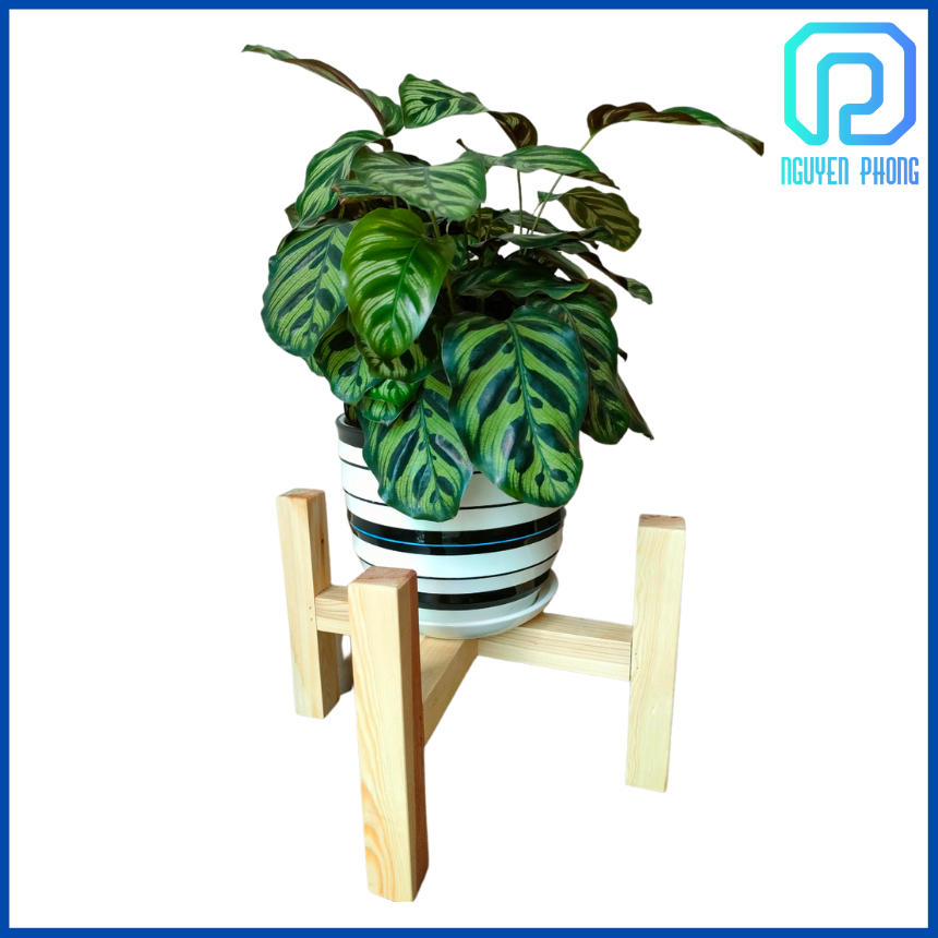 [HCM]Kệ gỗ đỡ chậu câykệ bằng gỗ kê chậu hoa kệ đôn gỗ trang trí an toàn tiện lợi đẹp decor đơn giản hàng có sẵn chắc chắn do xưởng Hàng Việt Nam chất lượng cao sản xuất cỏ đủ vít và khóa lục giác dễ dàng lắp ráp