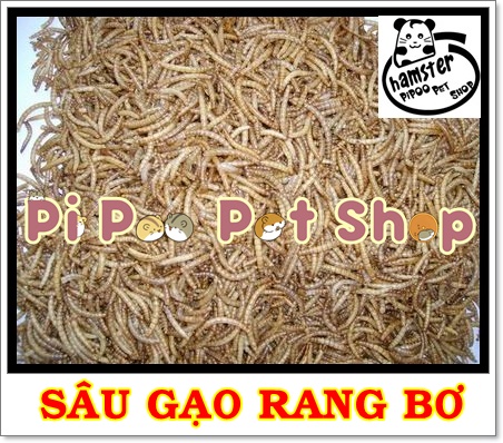 Sâu gạo rang bơ - Thức ăn cho Hamster