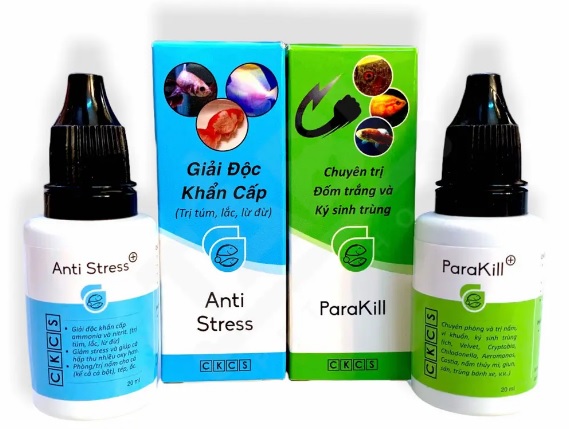 Anti Stress &ParaKill Dưỡng cá và phòng các loại nấm cho cá