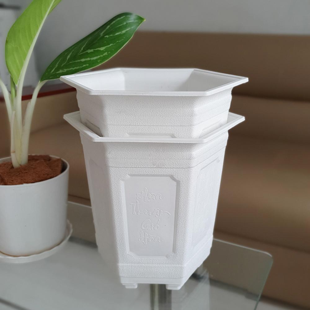 [HCM]Bộ 02 chậu hoa lục giác cao khắc hoa 22x24cm