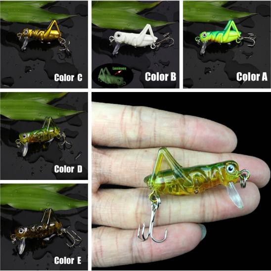 Mồi Châu Chấu - MỒI Côn Trùng