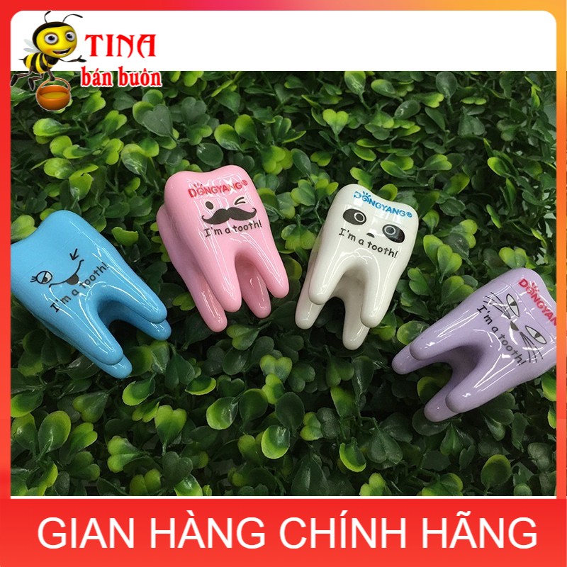 Gọt bút chì hình chiếc răng dễ thương cho bé e578