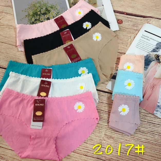 Combo 10 quần thun lạnh bộ sưu tập hoa cúc. quần chíp lót nữ