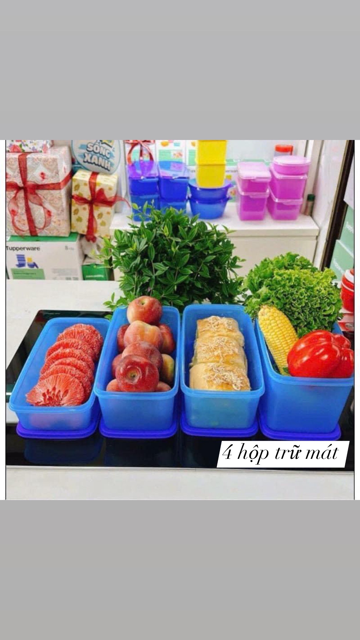 Set 4 hộp trữ mát moder tupperware