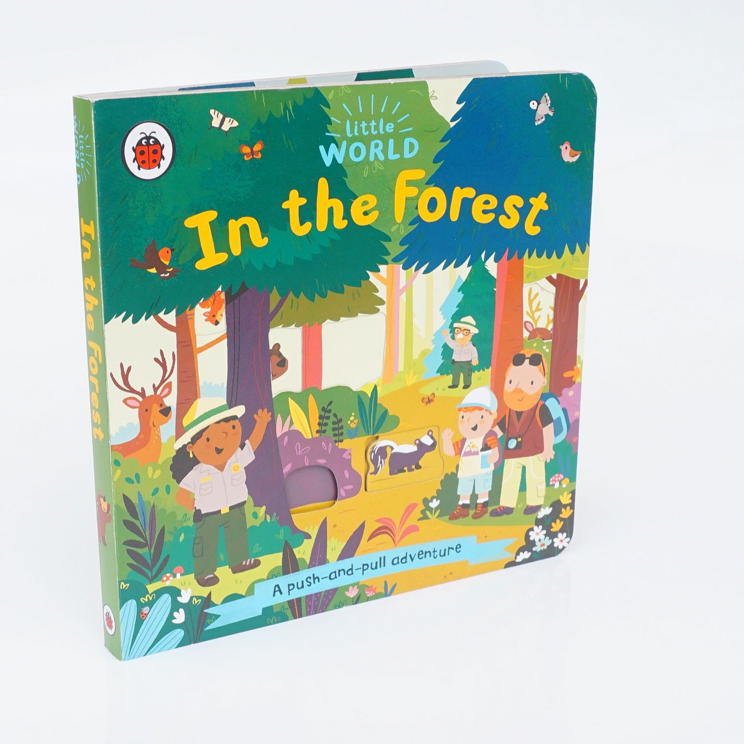 Little World: In the Forest : A push-and-pull adventure