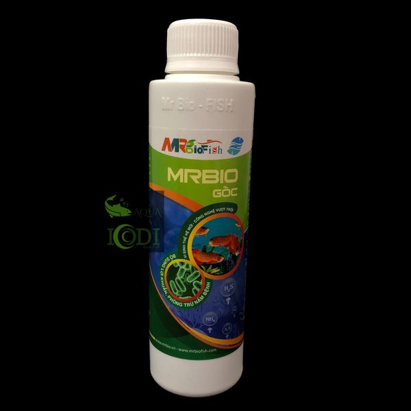 Men vi sinh Mrbio gốc xử lý nước hồ cá bể cá
