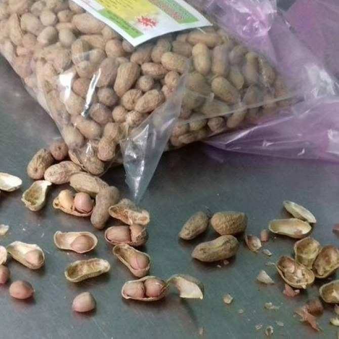 Combo 2bich đậu phông rang còn vỏ ( mổi bịch 450g)