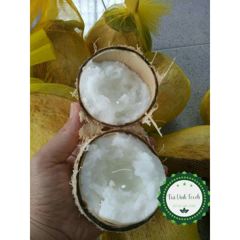 Dừa sáp đặc biệt trái 1-1.2kg
