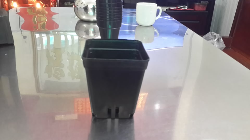 [HCM]combo 10 Chậu nhựa đen 9*9cm  trồng rau củ quả 9x9 cm