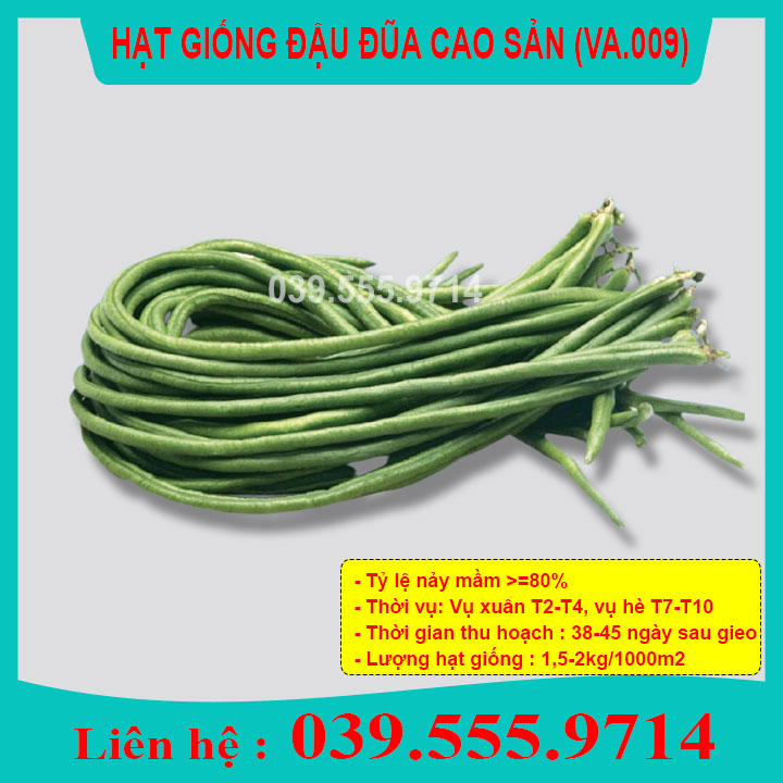 Hạt giống đậu đũa cao sản – 20gram