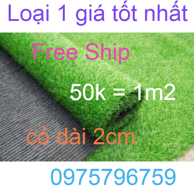Thảm Cỏ Nhân Tạo Hàng chuẩn 2cm