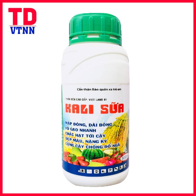 KALI SỮA MẬP ĐÒNG,DÀI BÔNG,VÔ GẠO NHANH,CHẮC HẠT, 1 CHAI 500ml.