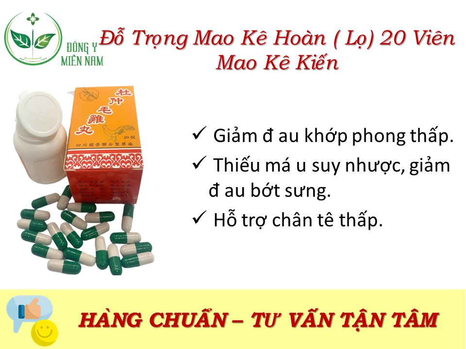 Đỗ trọng mao kê hoàn 20 viên – mao kê kiến-đau khớp phong thấp, thư gân hoạt h.uyết