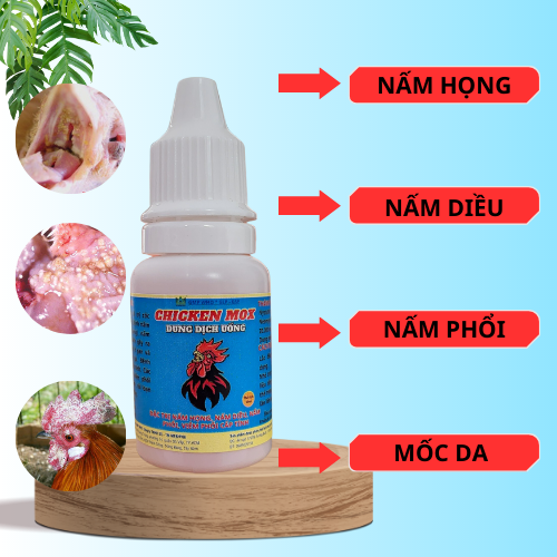 Chicken mox Đặc trị nấm họng , Nấm diều , Nấm phổi trên gà