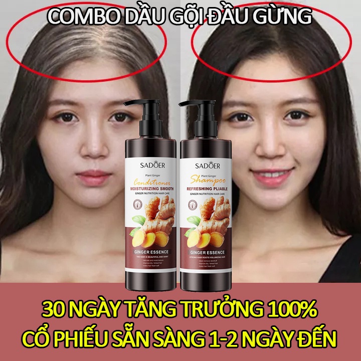 Dầu gội gừng Dầu gội thảo dược đầungăn rụng tóc Dầu gội gội đầu gừng và tóc mọc lên500ml Nó có thể ngăn những cái đầu gàu đang phát triểncải thiện tình trạng khô xơ ngứa ngáy chắc chân tócDầu gội gừng tươi cho