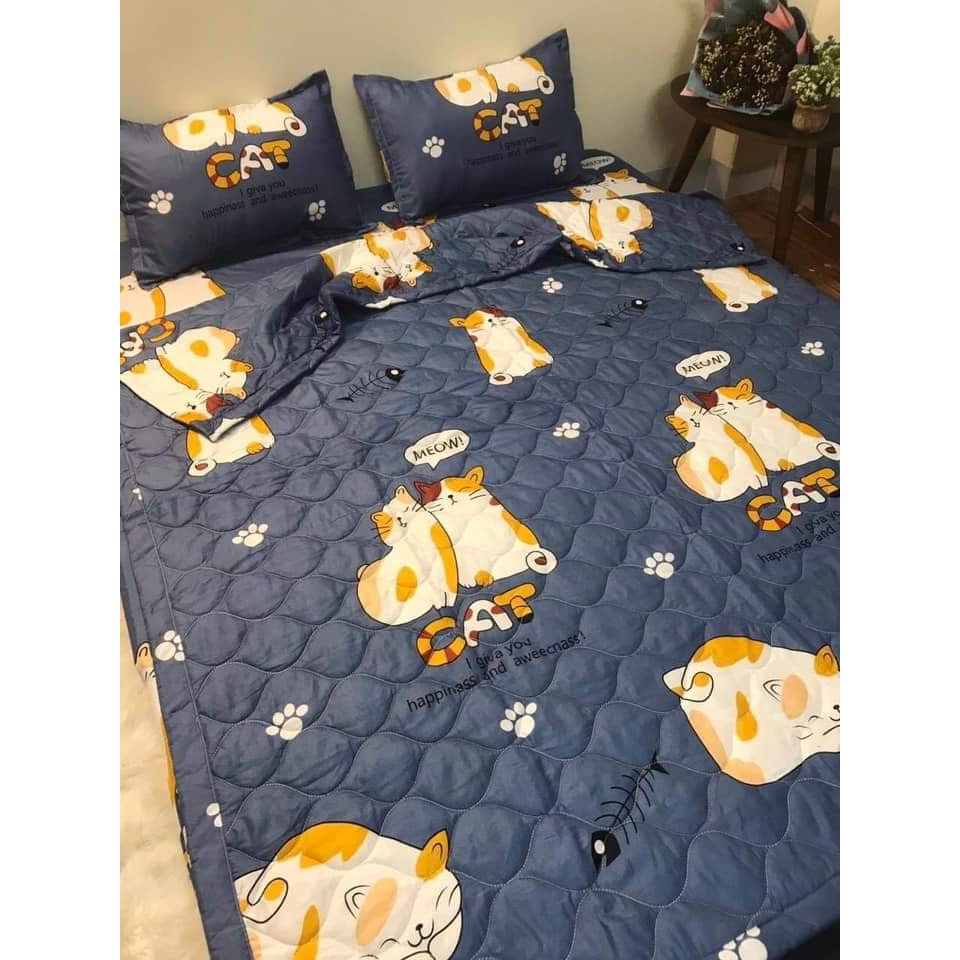 [HCM]Chăn hè thu trần bông 3 lớp poly mền trần bông hàng có sẵn tại tphcm mẫu mèo xám