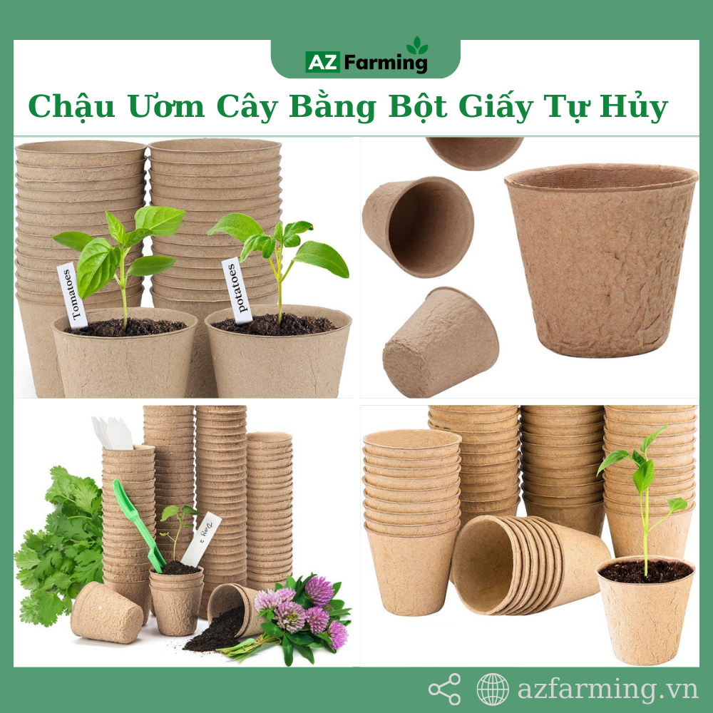 Chậu ươm cây giống bằng bột giấy tự hủy - chậu tròn 6x6cm - az farming