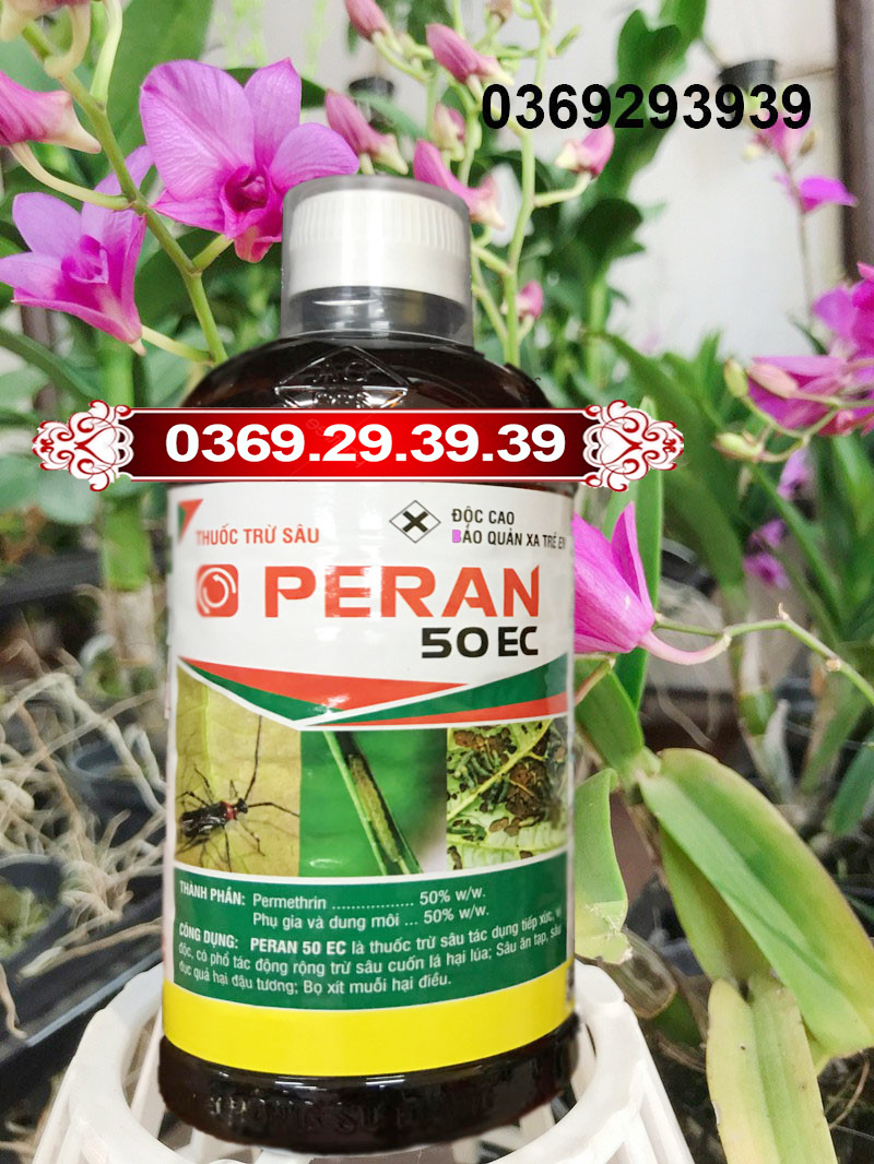 Peran 50ec trừ sâu đục thân, sâu ăn tạp