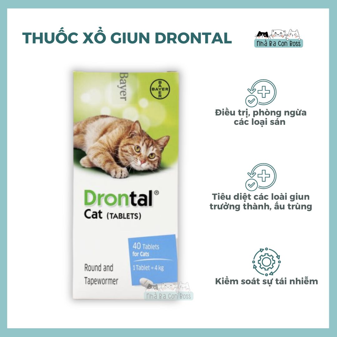 [Xổ Giun] Drontal Cho Mèo