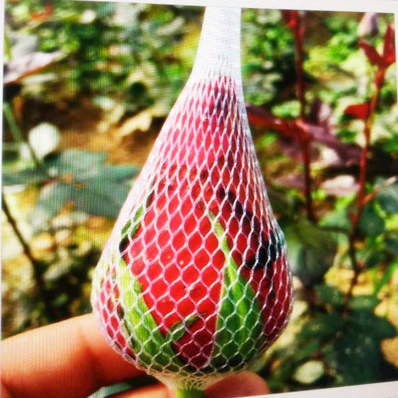 1kg lưới bọc hoa - lưới bao hoa - lưới chụp hoa ly, hoa, hoa cúc, hoa hồng, lưới bọc hoa tươi