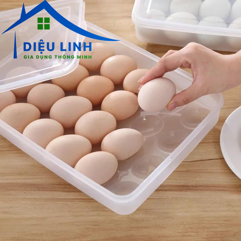 Khay Đựng Trứng 6786/Hộp Lưu Trữ Trứng 24 Ngăn Trong Tủ Lạnh Hộp Đựng Trứng 24 Quả 6786 nhựa Việt Nhật dieulinhshop