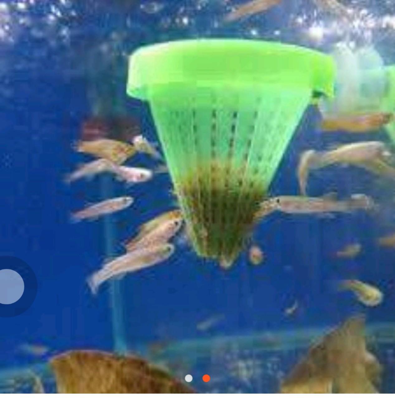 [HCM]Combo 2 rổ nhựa đựng trùng chỉ cho cá ăn