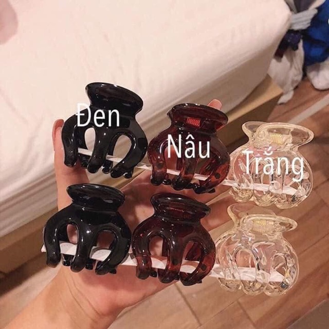 Sét 3 Chiếc kẹp Càng Cua Thái Lan 3 Màu Như Hình