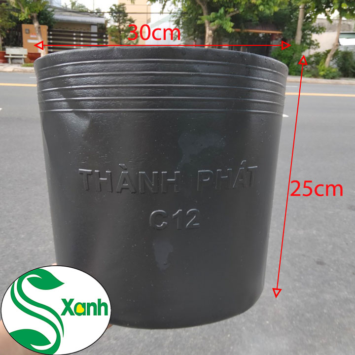 10 Chậu Nhựa Trồng Cây C12 KT: 300*250