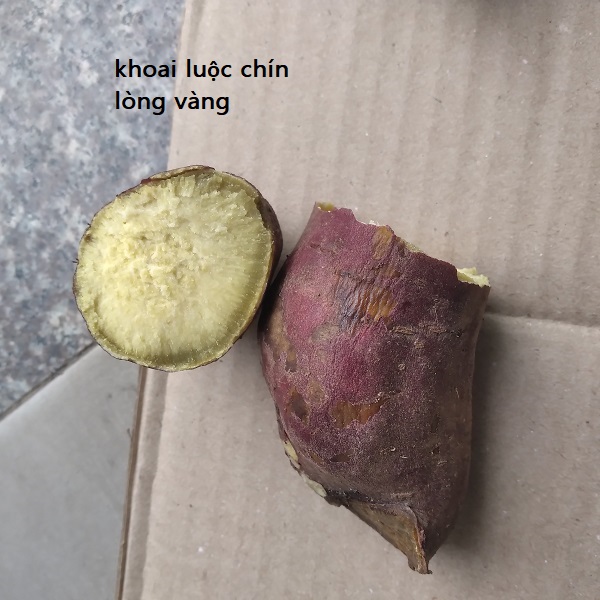 Khoai lang giống nhật trồng ở tỉnh đăk lăk (1kg)