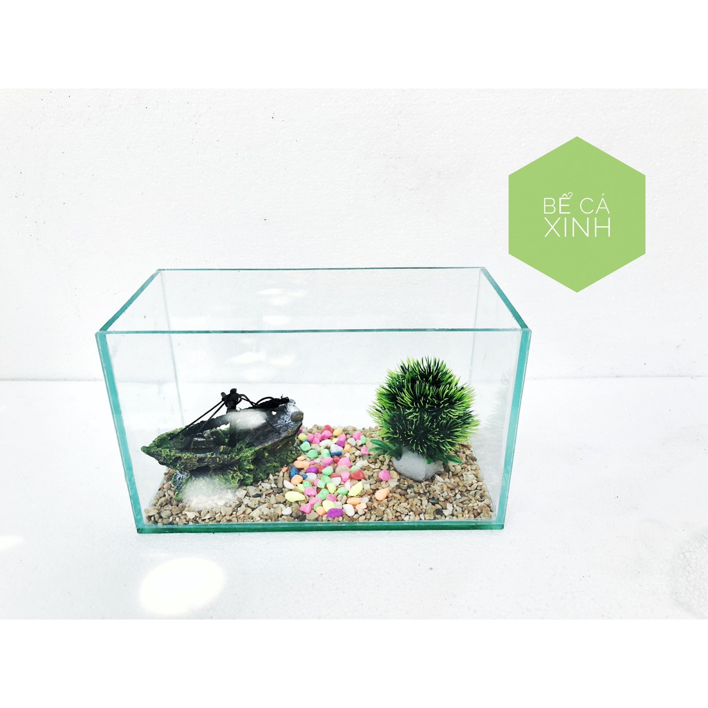 Bể cá mini + phụ kiện cây+ tàu + sỏi + thức ăn