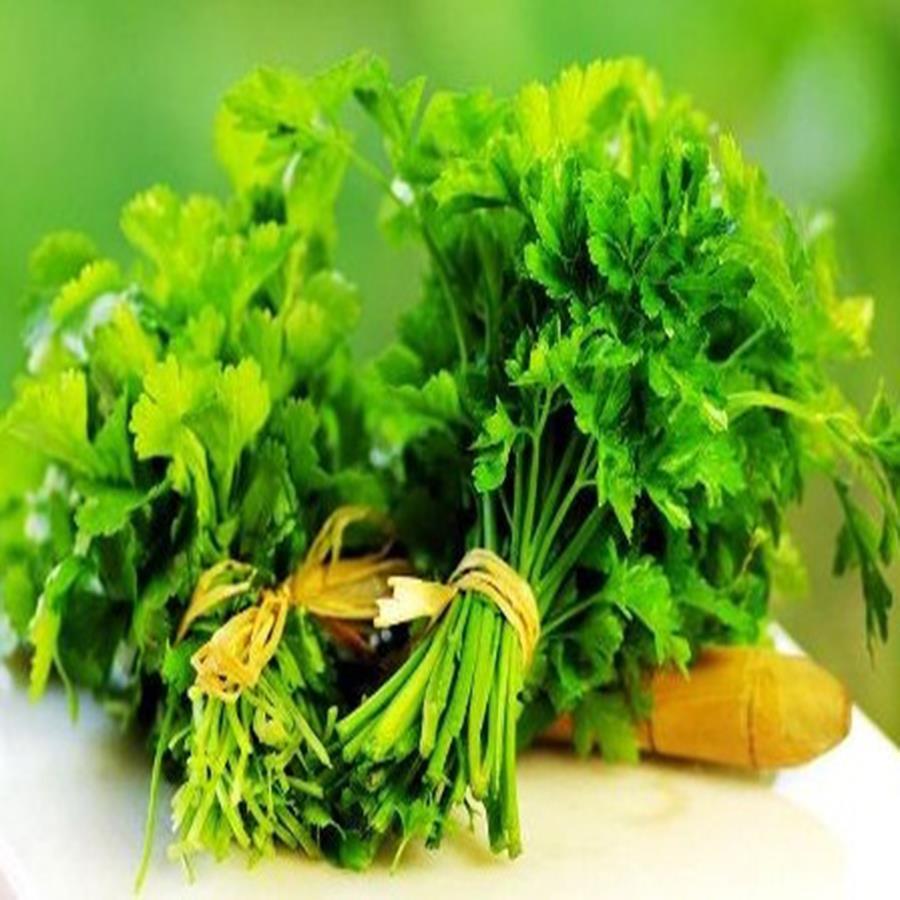 - Hạt giống rau mùi giá rẻ
