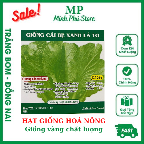 Giống Cải Bẹ Xanh Lá To - 20g - Hạt Giống Hoá Nông Rau Củ Quả Trái Lá Chịu Nhiệt Trồng Quanh Năm Nảy Mầm Tốt Năng Suất Cao