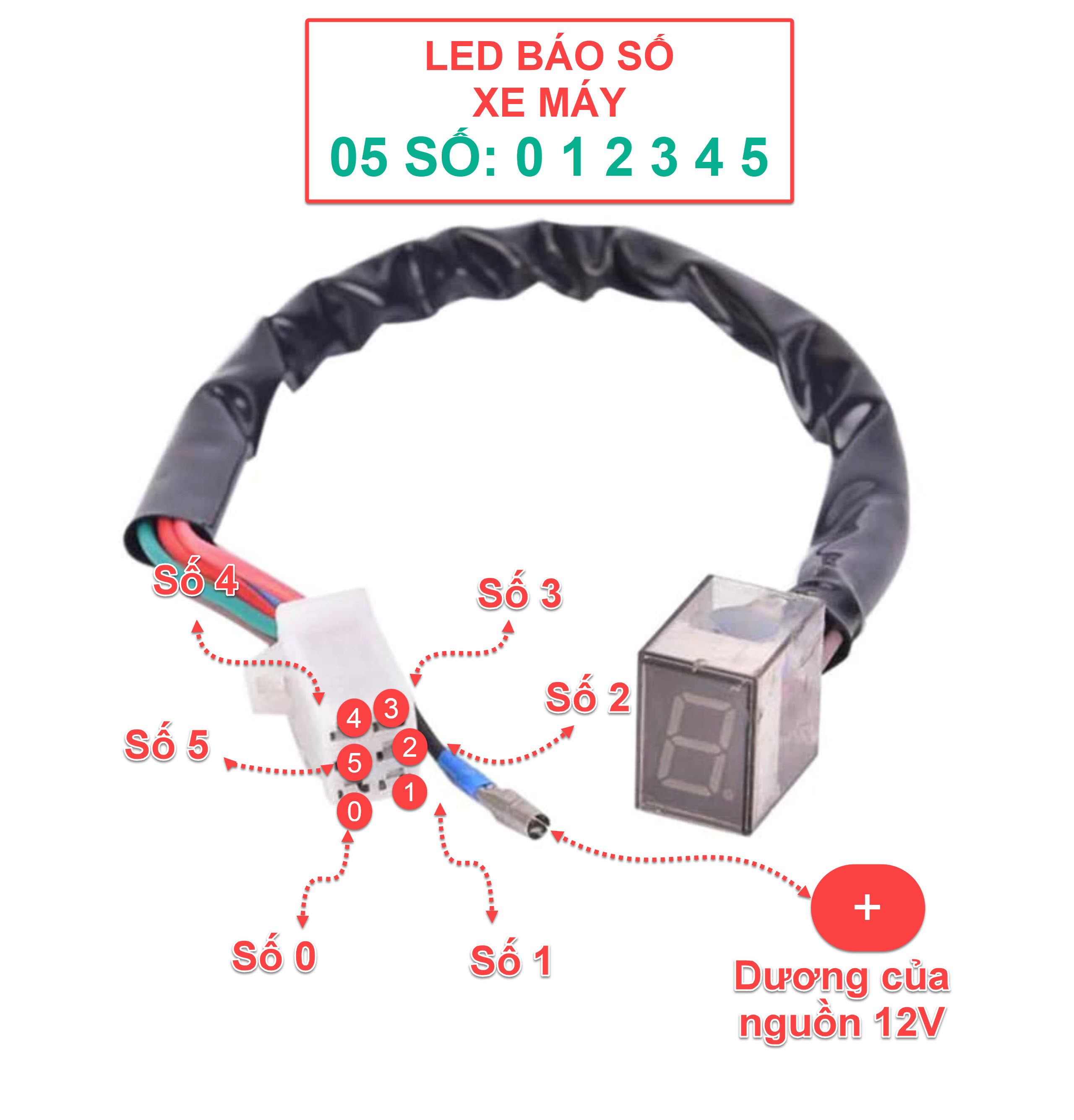 Led báo số xe máy