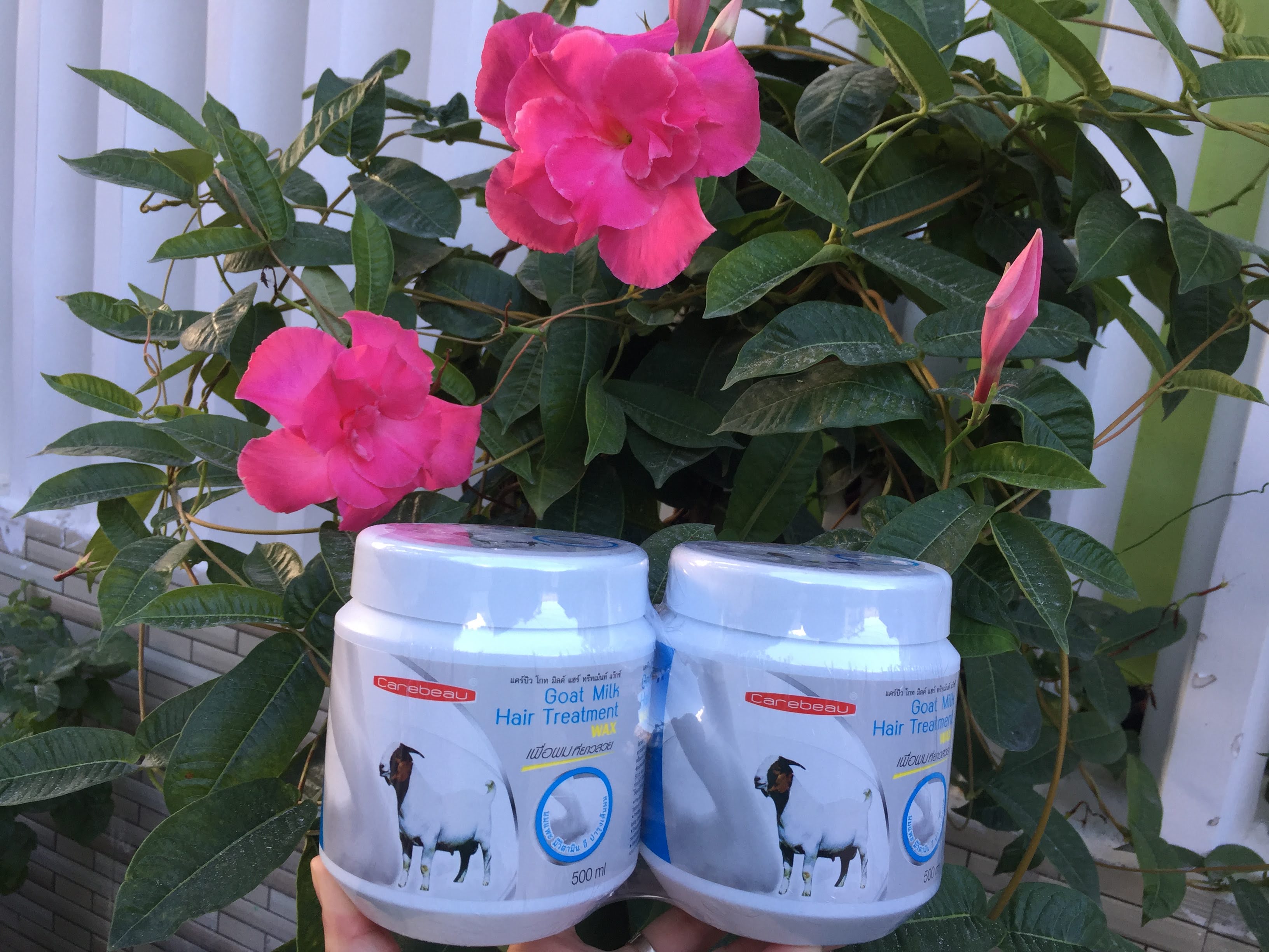 1 hũ hấp dầu thái lan carebeau 4 mùi hương 500 ml