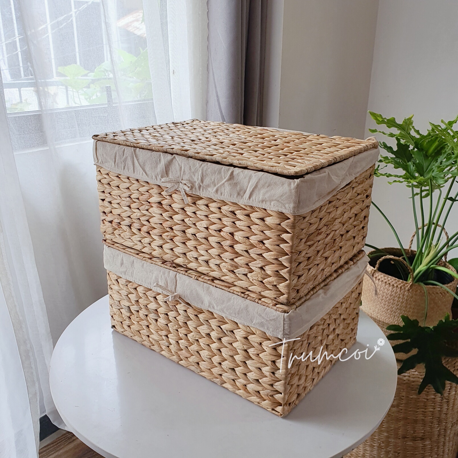 Hộp đựng lục bình có nắp size S