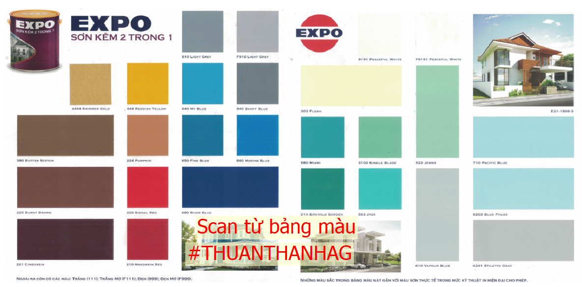 Sơn kẽm chuyên dụng 2in1 expo độ bóng cao