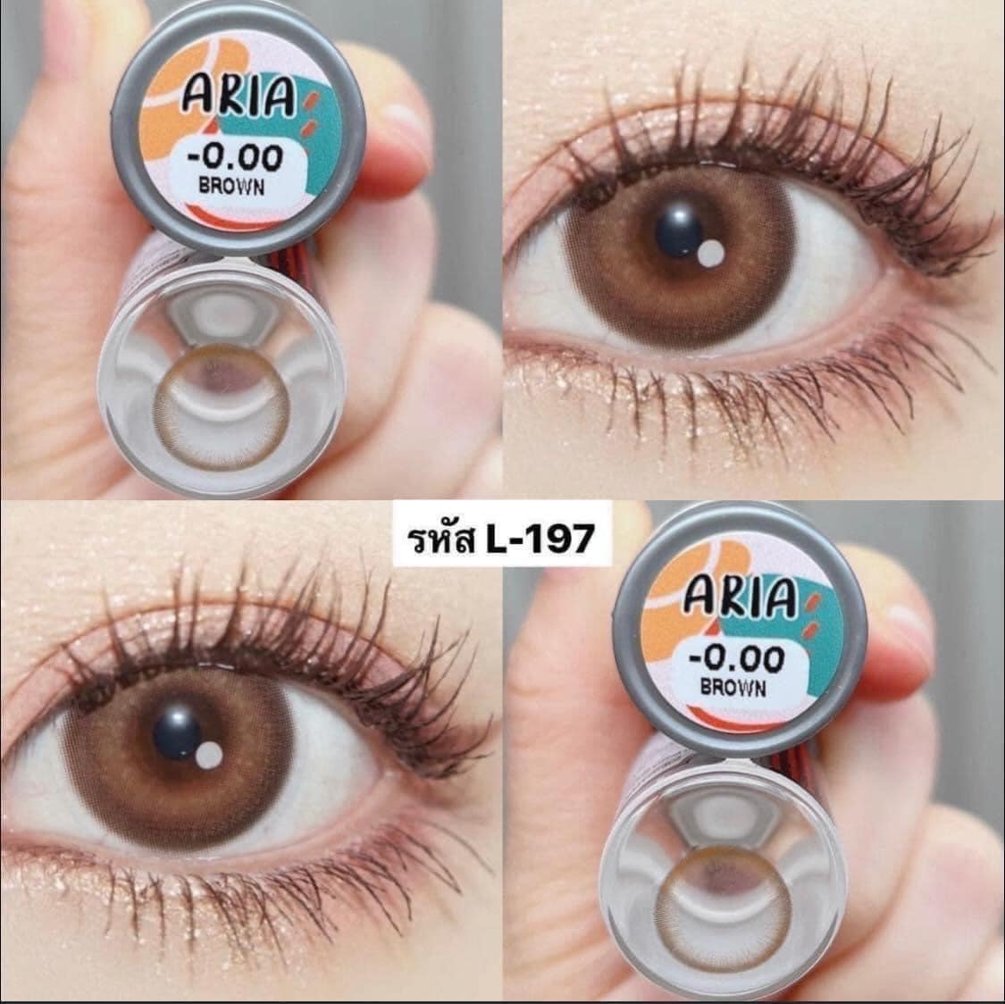Kính áp tròng brown 14.0-14.2mm