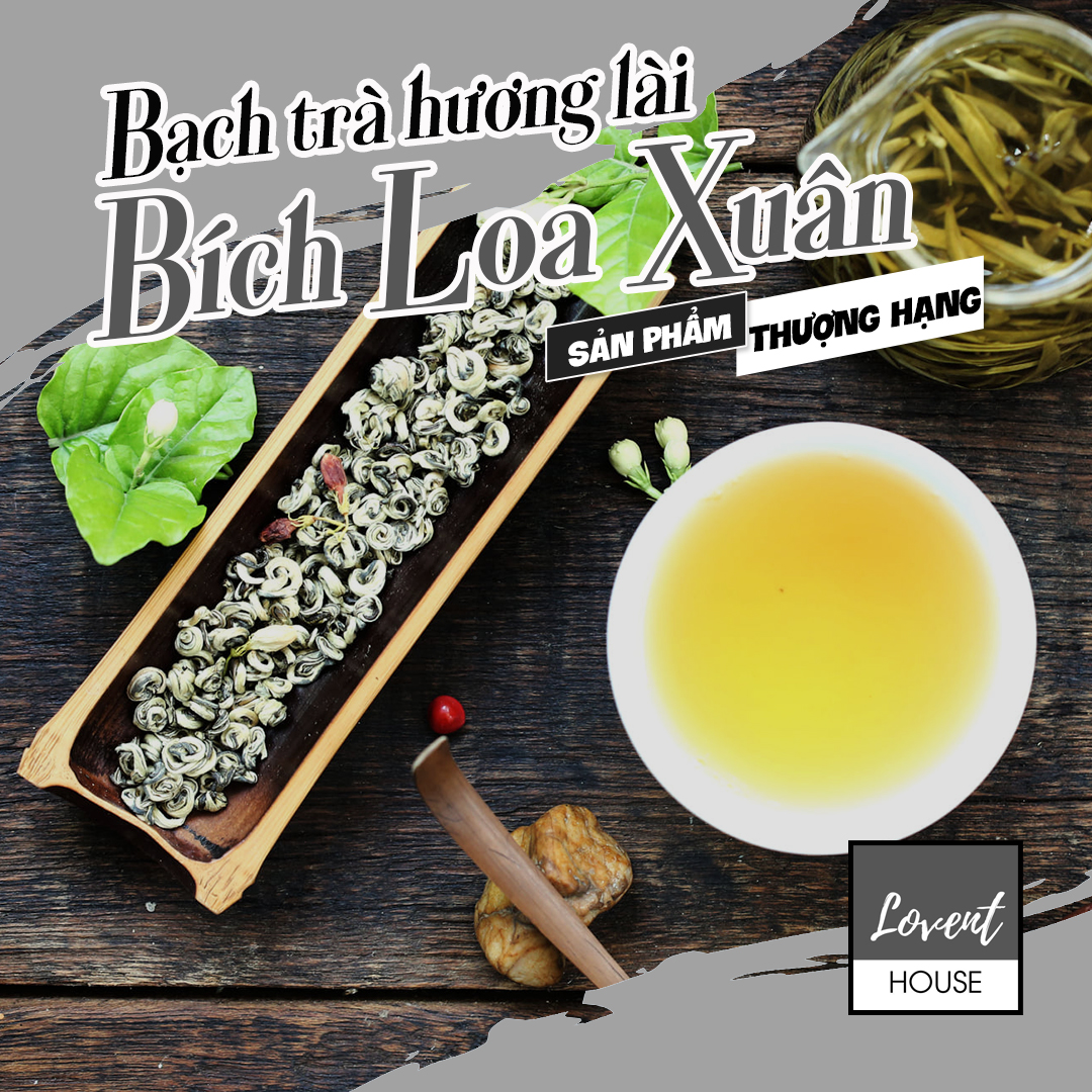 Bích Loa Xuân Thượng Hạng Ủ Hoa Nhài (Lài) Nõn Trắng Một Búp [Lovent House]