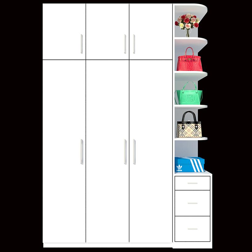 Tủ quần áo hiện đại sang trọng cao gần tới trần nhà fine ft047