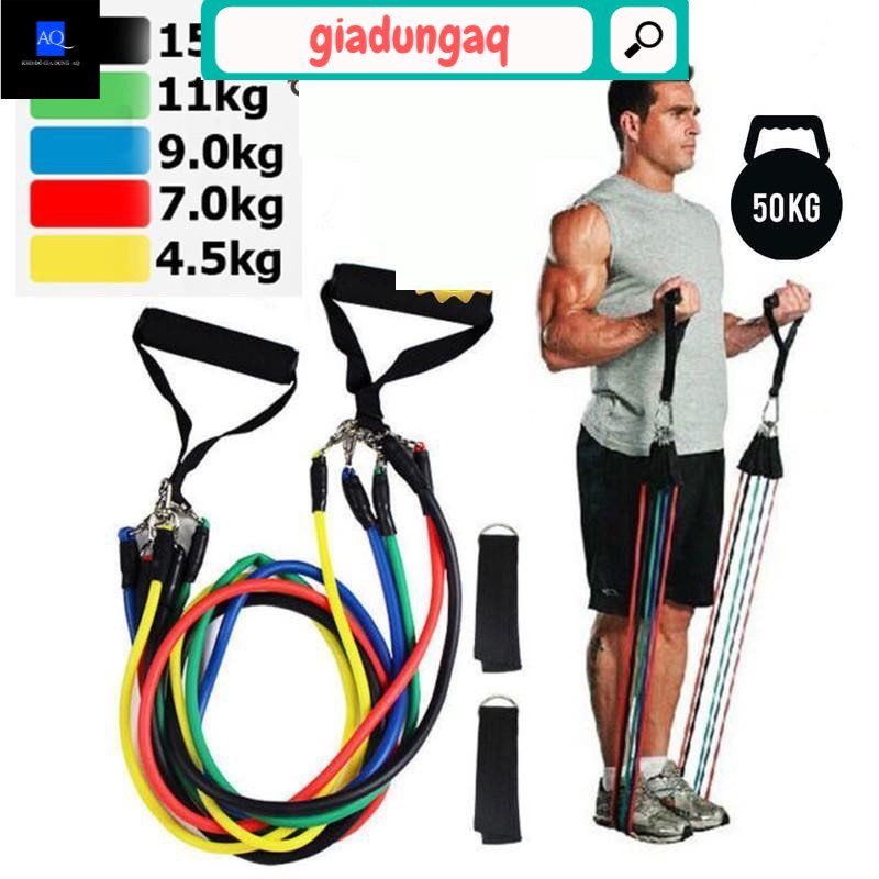 Bộ 5 dây ngũ sắc tập gym Full body dụng cụ tập gym đa năng kéo đàn hồi tập thể hình cao cấp