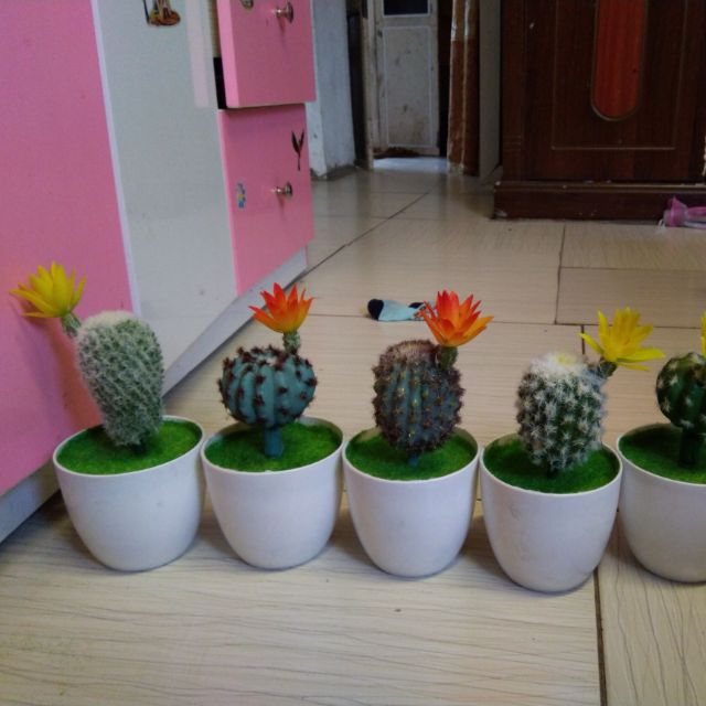Cây giả - chậu xương rồng mini