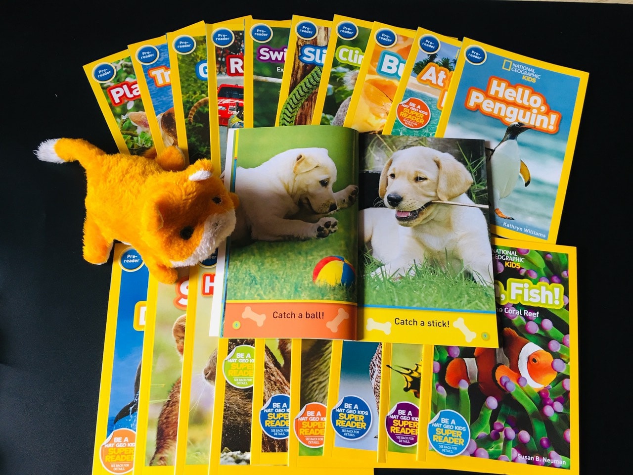 National Geographic Kids - Level PREK 20 cuốn