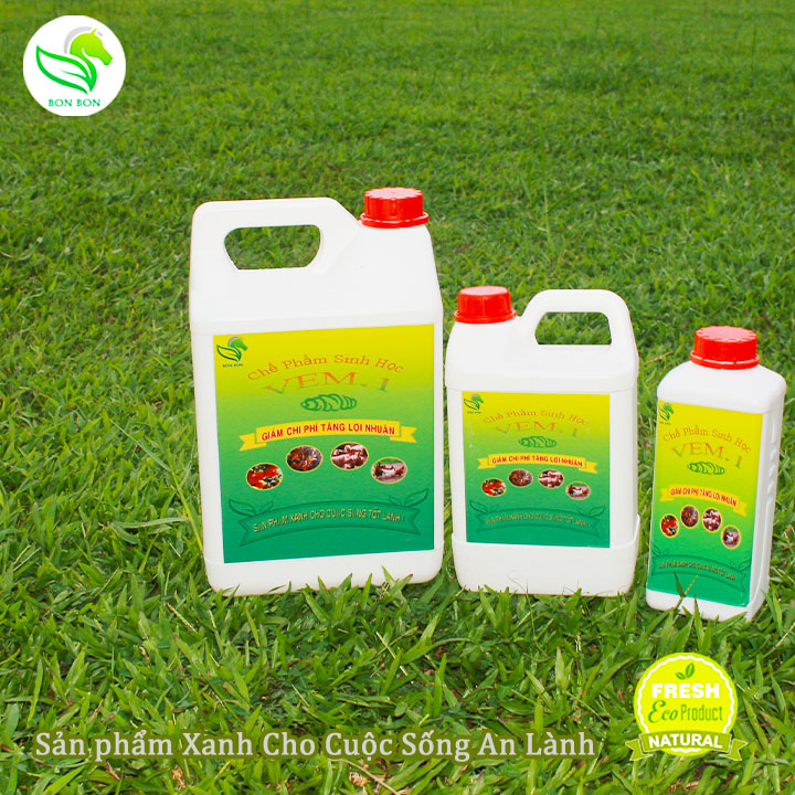 VEM1 (EM) men vi sinh với các vi sinh vật có lợi giúp xử lý mùi hôi nhanh chống, vật nuôi hấp thu dể dàng, VEM1 (EM) phù hợp với tất cả cá mô hình nông nghiệp, xu hướng của các mô hình nông nghiệp sach